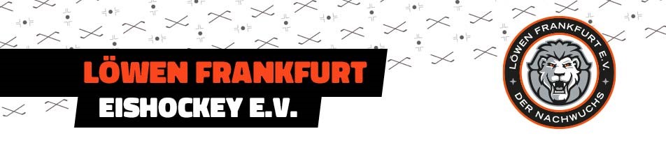 Banner Löwen Frankfurt Eishockey Nachwuchs e.V. 2021
